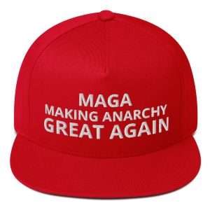 MAGA Explained Cap