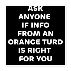 Ask Anyone if Info from the Orange Turd is right for you