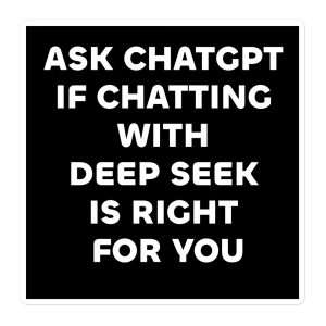 MerchMuse Custom Category Display 2 Ask Chatgpt About Chatting with a Deep Seek
