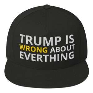 T-Wrong Dark Cap