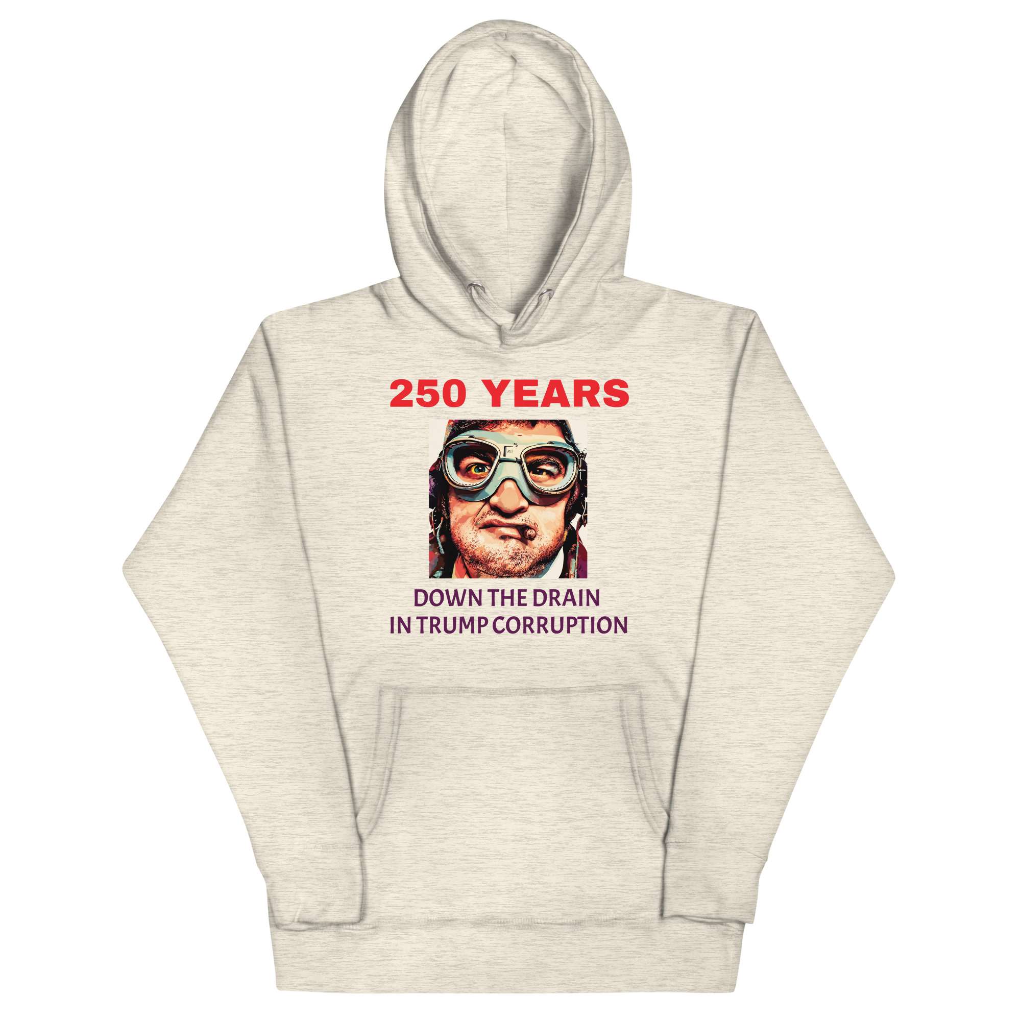250 Down Hoodie 1 250 Down Hoodie